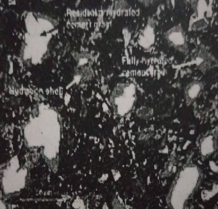 تصویر میکروسکوپ الکترونی رویشی (SEM) پس پراکنش از ناحیه ای در خمیر سیمان با نسبت آب به سیمان 30/